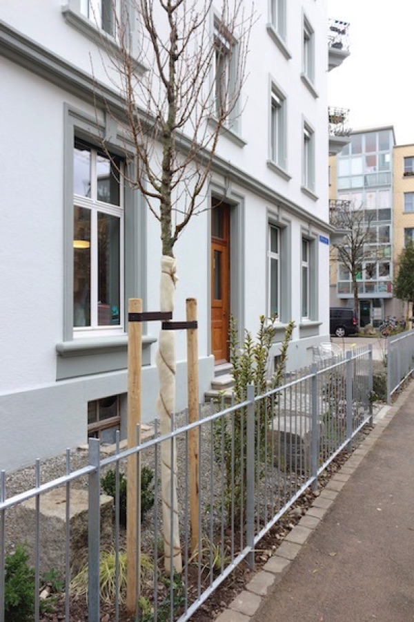 Vorgarten Gestaltung