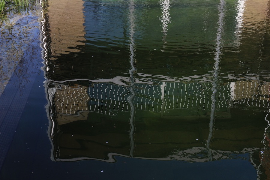 Spiegelung im Schwimmteich